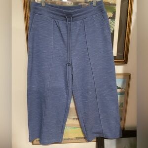 Talbots Women’s Blue Joggers Xp Wide leg - crop length NWT -Airknit Stretch